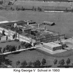 kgv1950.jpg